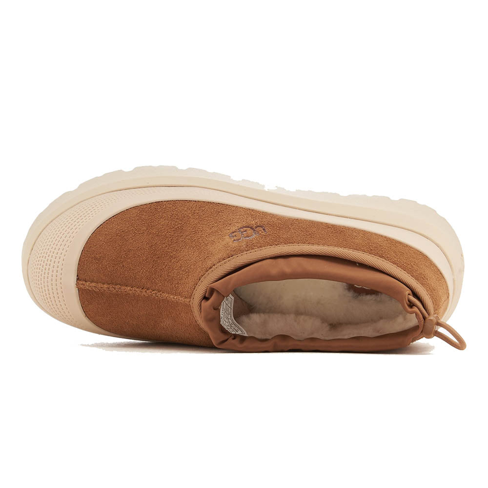 M TASMAN WEATHER HYBRID