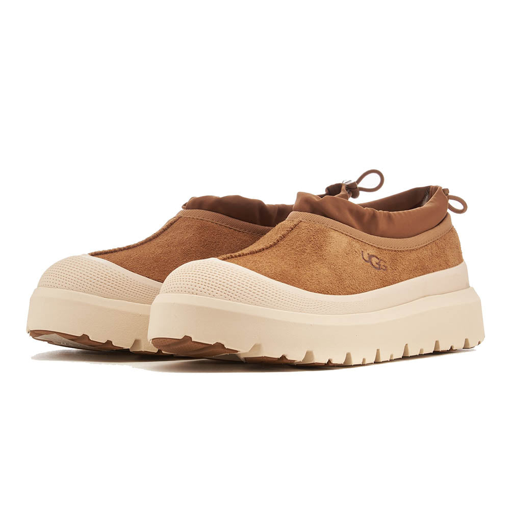 M TASMAN WEATHER HYBRID