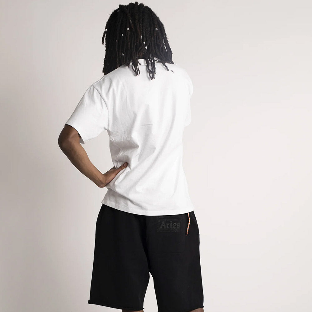 PROBLEMA SUPREMO SS TEE