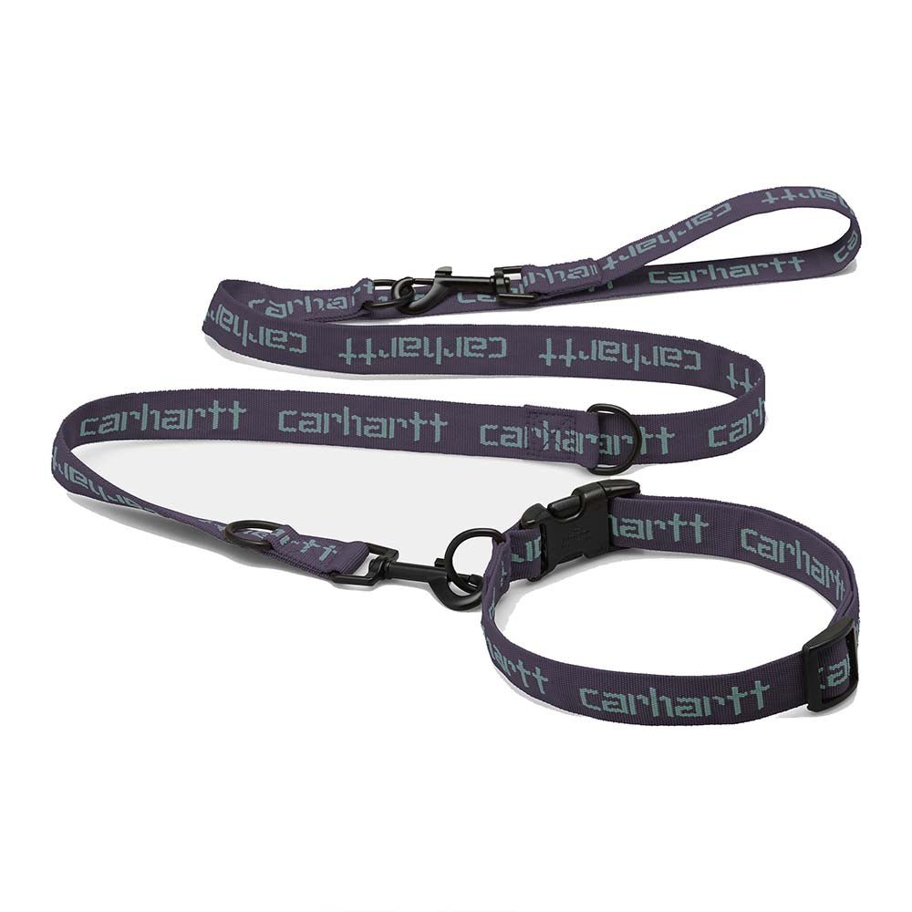 SCRIPT DOG LEASH & COLLAR
